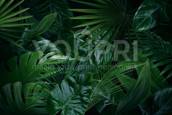 Fotobehang Groene jungle bladeren