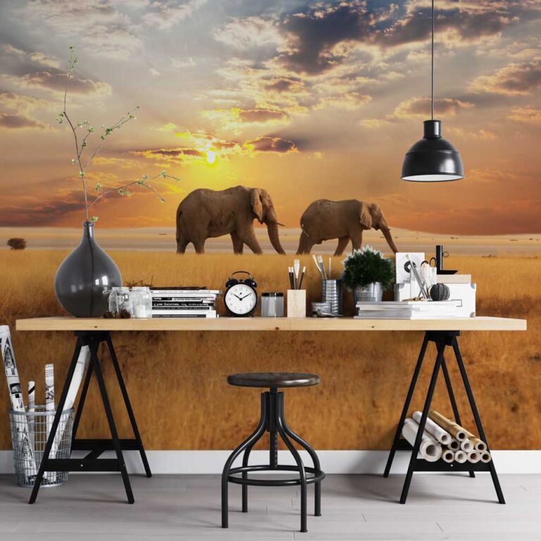 Fotobehang Olifanten duo