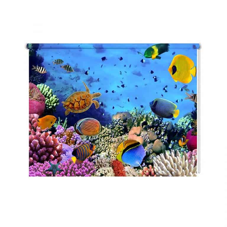 Rolgordijn Drukte in het aquarium