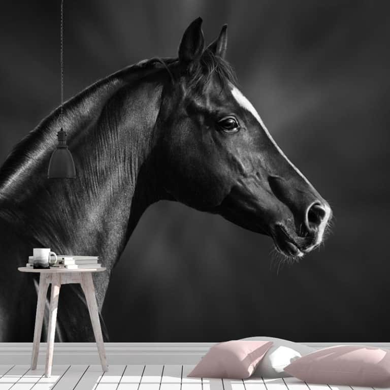 Fotobehang Close-up paard