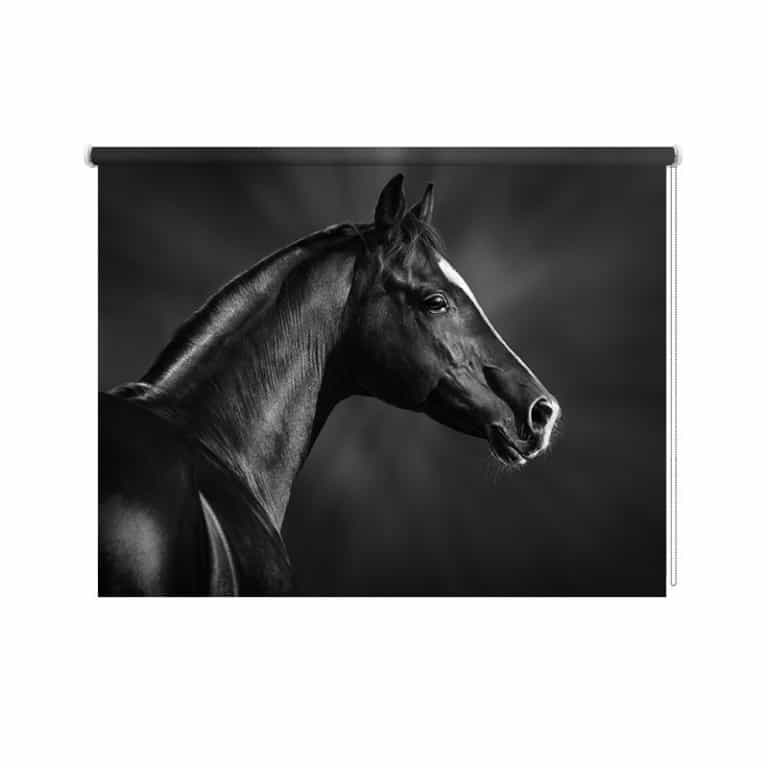 Rolgordijn Close up paard