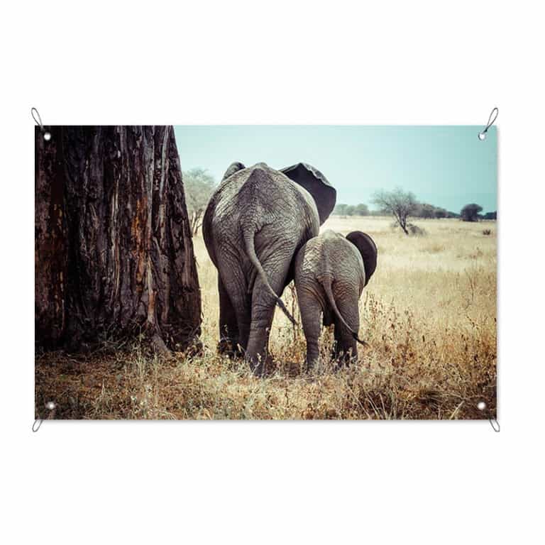 Tuinposter Olifant met jong