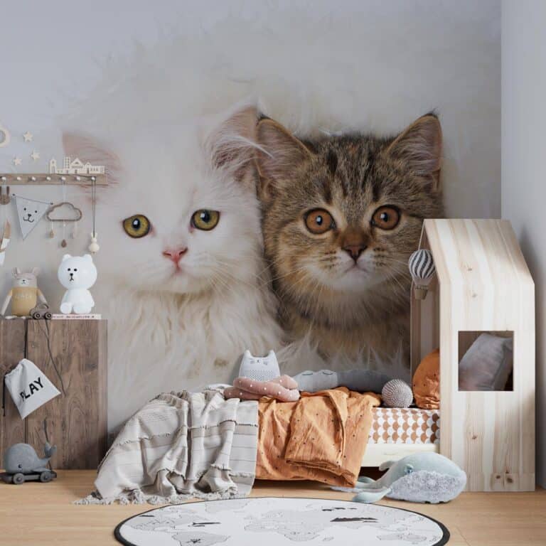 Fotobehang Witte en bruine kitten