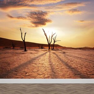Fotobehang Woestijnlandschap