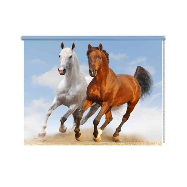 Rolgordijn Galopperend paarden duo