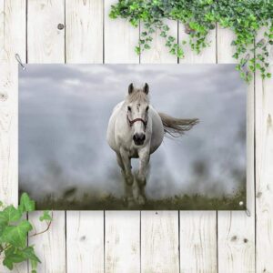 Tuinposter Wit paard