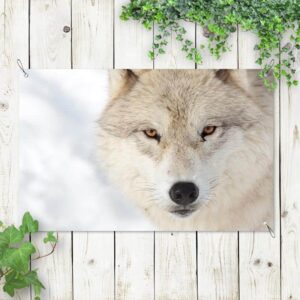 Tuinposter Wolf close up