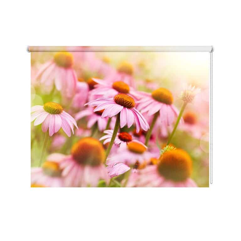 Rolgordijn Vintage roze zonnehoed