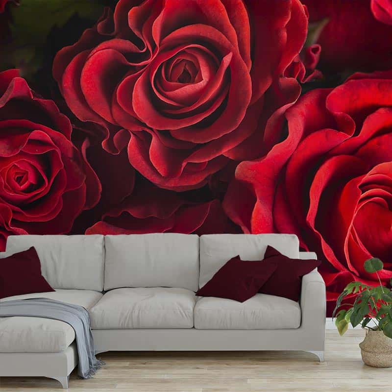 chaos Midden Lift Fotobehang Rode rozen. Gratis voor jou op maat gemaakt. YouPri.nl