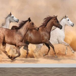 Fotobehang Wilde paarden