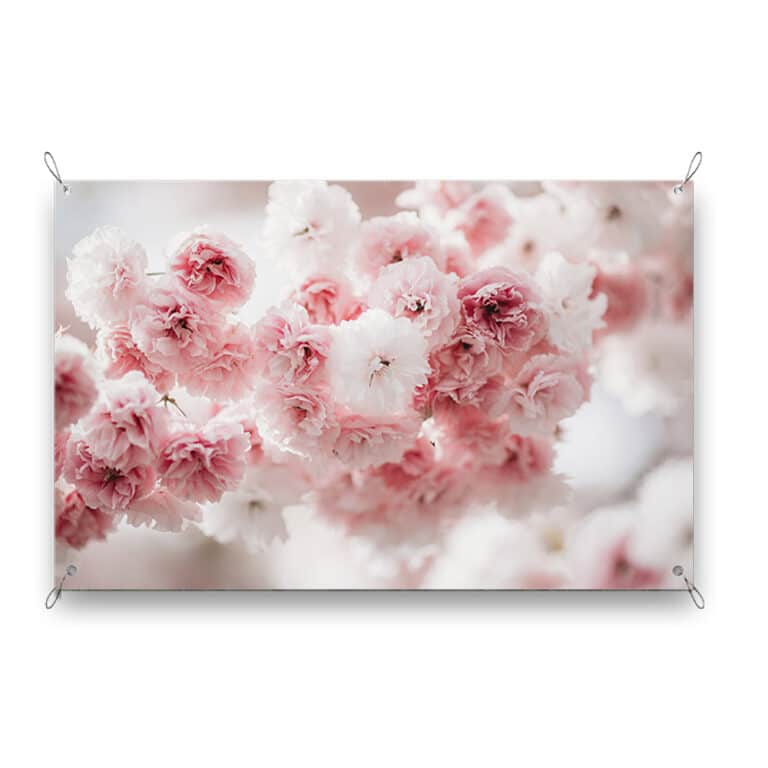 Tuinposter Sakura bloem