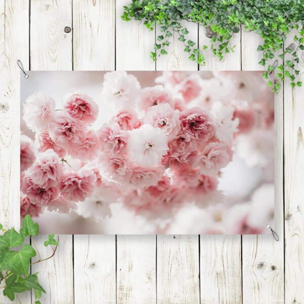 Tuinposter Sakura bloem