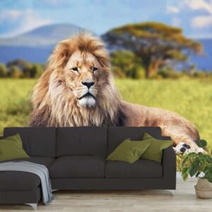 Fotobehang Relaxende leeuw