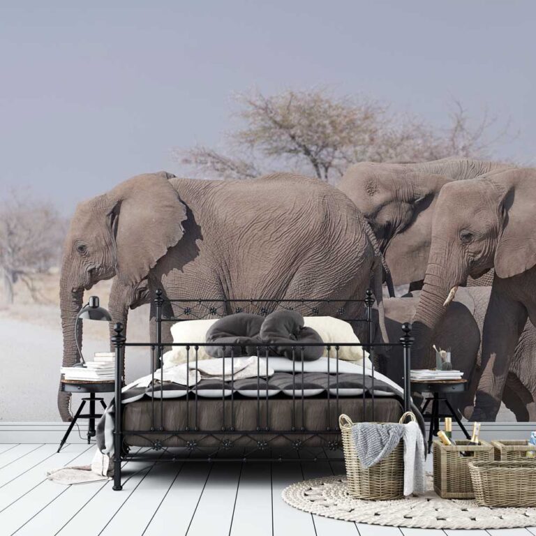 Fotobehang Olifanten groep