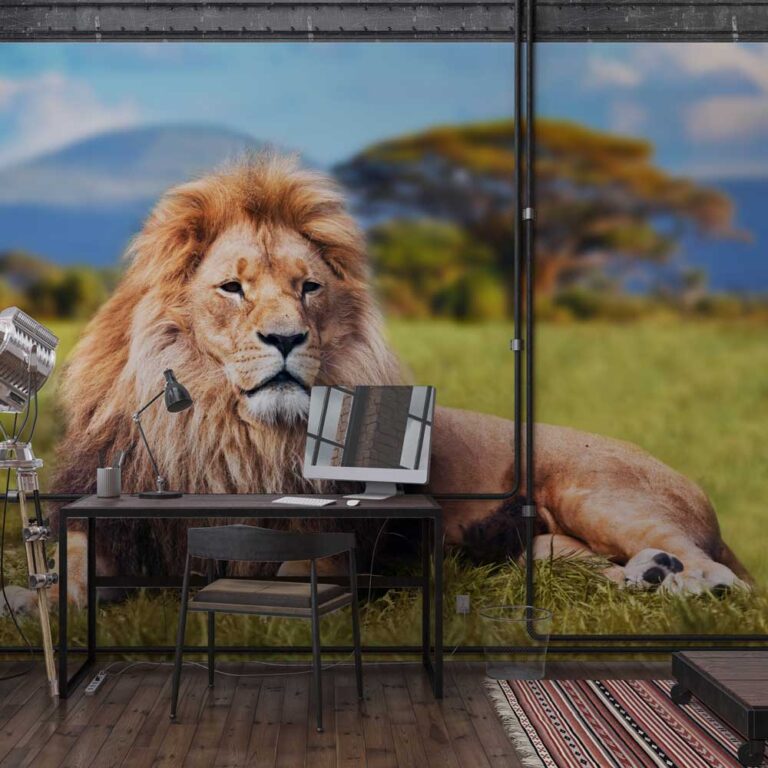 Fotobehang Relaxende leeuw