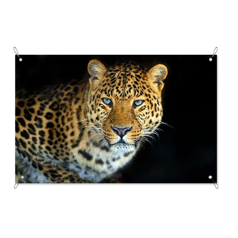 Tuinposter Jaguar