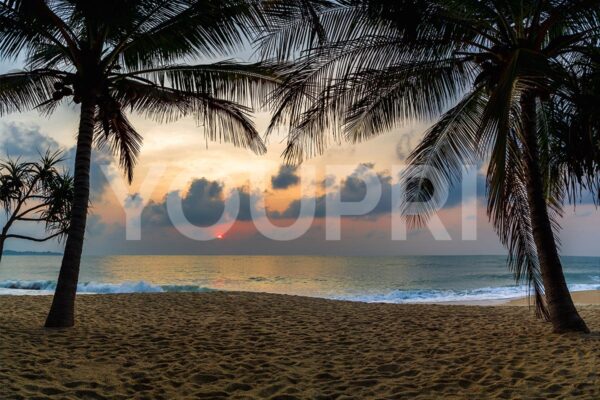 Fotobehang Tropisch strand zonsondergang