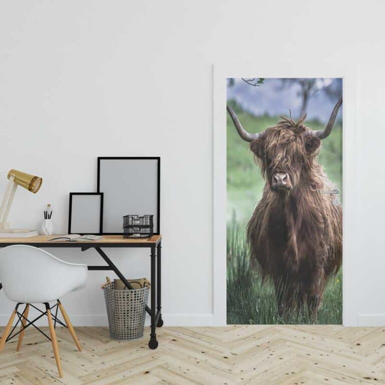 Deursticker Schotse hooglander in weiland