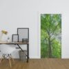 Deursticker Boom met groene bladeren