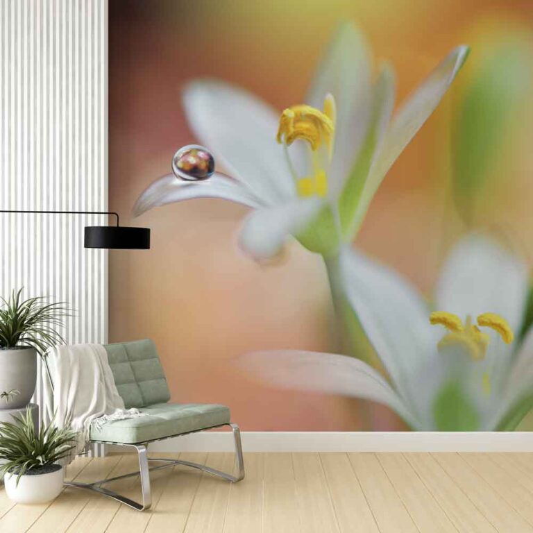 Fotobehang Witte lelie met waterdruppel