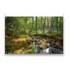 Tuinposter Groen bos en beek