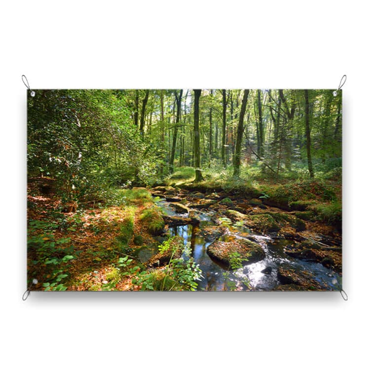 Tuinposter Groen bos en beek