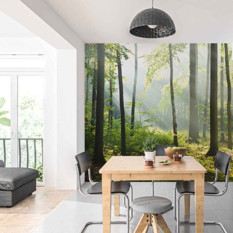 Fotobehang Zonsopkomst in bos