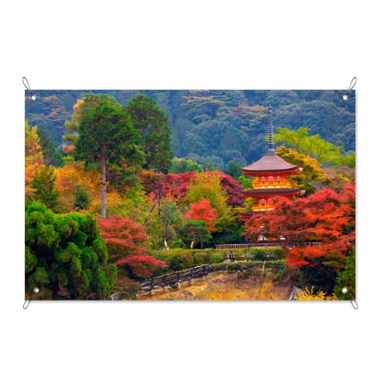 Tuinposter Wandelen in Japanse tuin