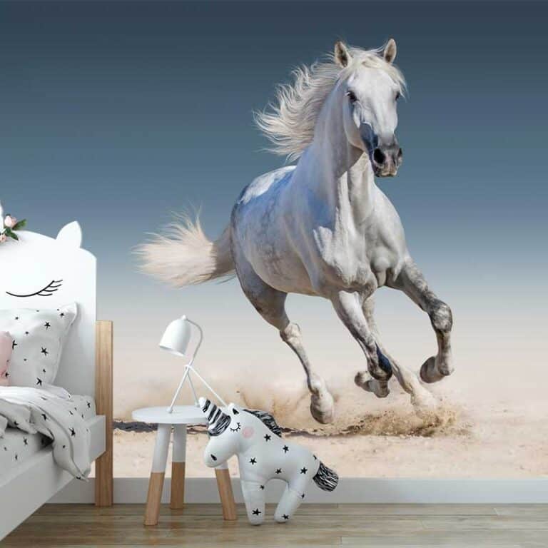 Fotobehang Wit paard in galop