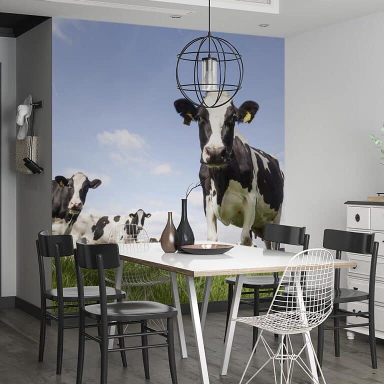 Fotobehang Koeien in weiland - koeien behang