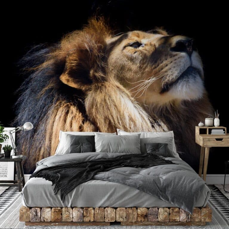 Fotobehang Leeuw profiel