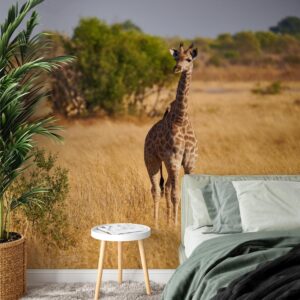 Fotobehang Jonge giraf