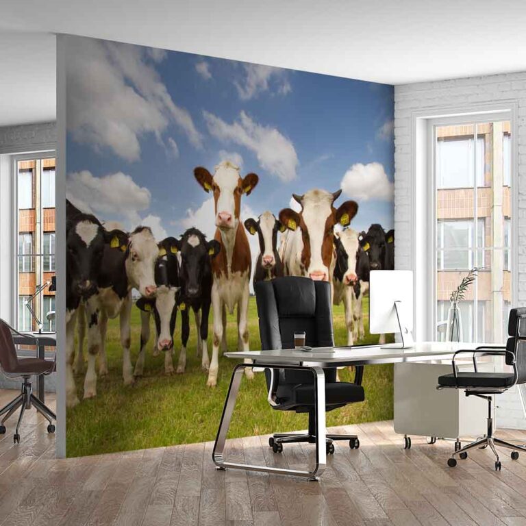 Fotobehang Koeien in de wei