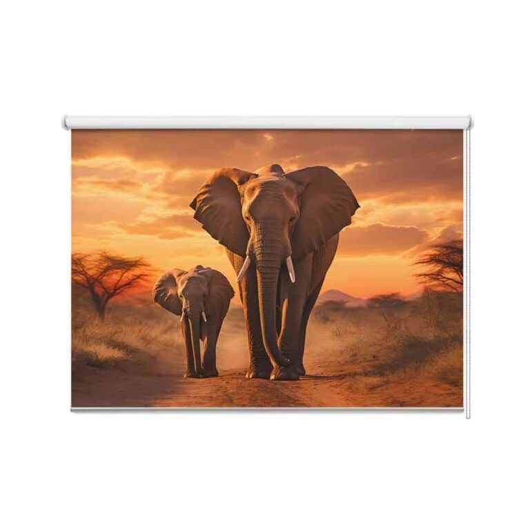 Rolgordijn Moeder Olifant met jong
