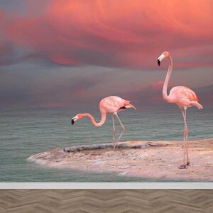 Fotobehang Flamingo's aan het water
