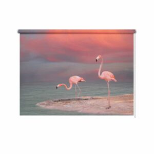 Rolgordijn Flamingo's aan de oever