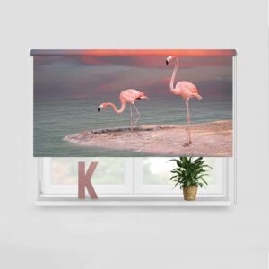 Rolgordijn Flamingo's aan de oever