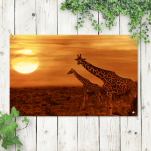 Tuinposter Giraffen in de avondschemer