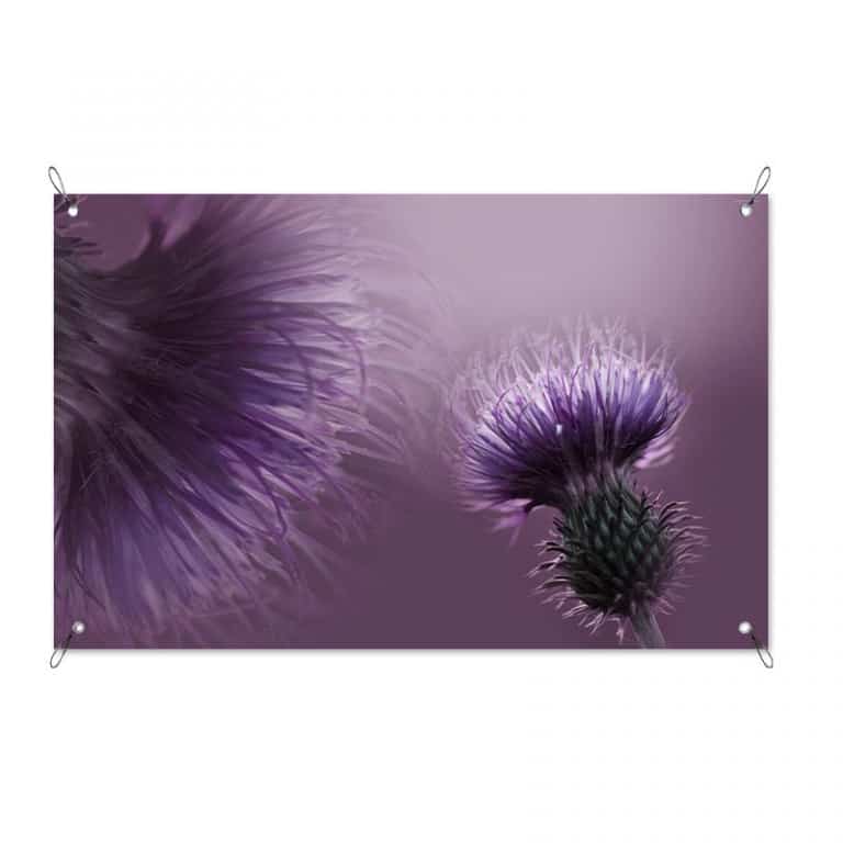 Tuinposter Paarse bloem