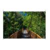 Tuinposter Hangbrug in de jungle