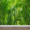 Fotobehang Bamboe bomen