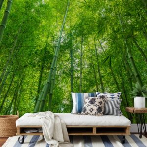 Fotobehang Bamboe bomen