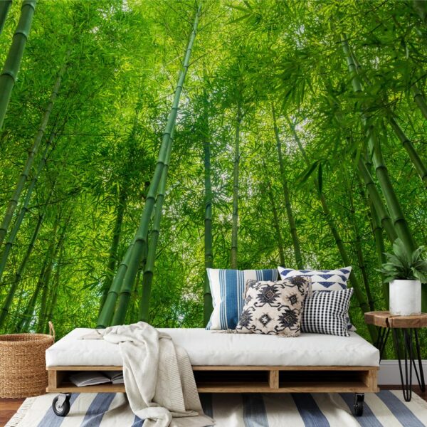 Fotobehang Bamboe bomen