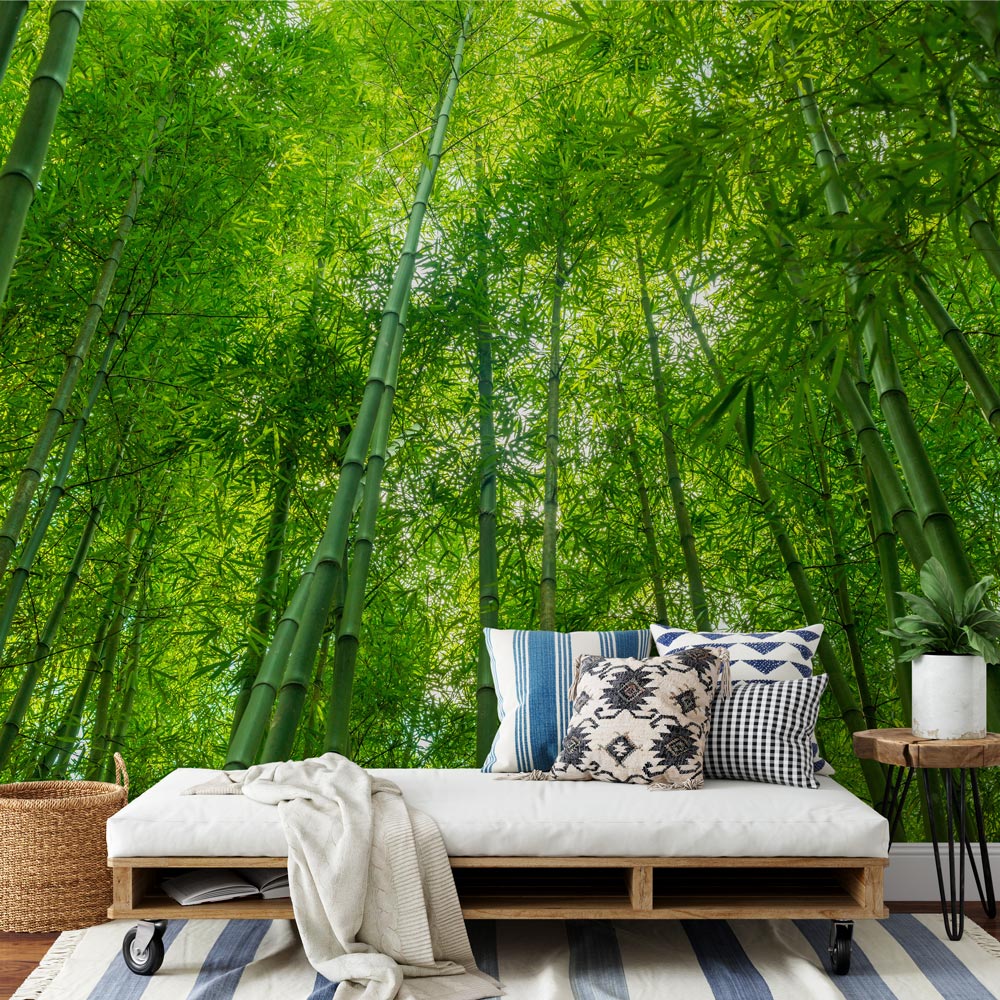 opladen voorzichtig Nu al Fotobehang Bamboe bomen. Met gratis drukproef. YouPri.nl