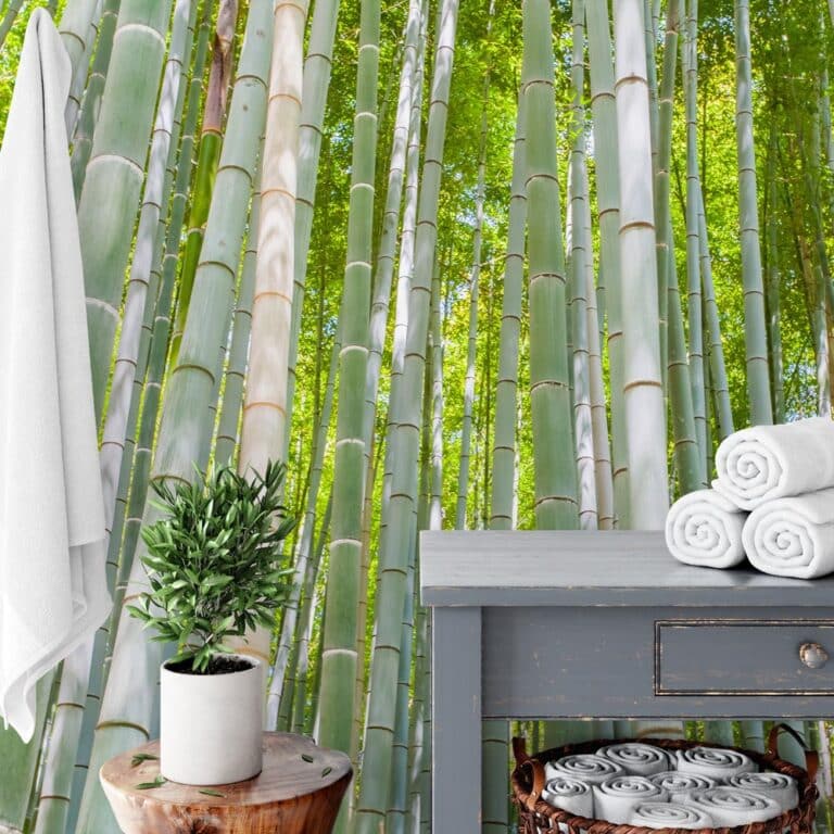 Fotobehang bamboe bos