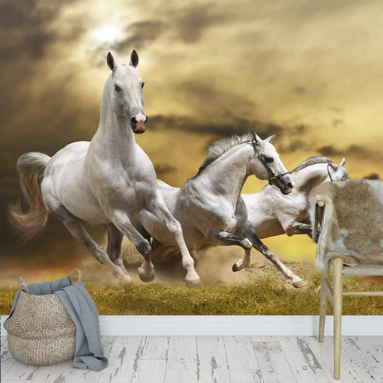 Fotobehang Witte paarden in galop