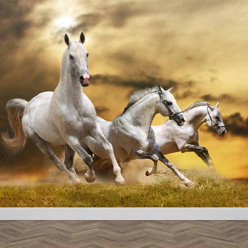 spoor Extreem belangrijk stad Fotobehang Witte paarden in galop. Op maat gemaakt bij YouPri.nl
