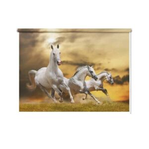 Rolgordijn Witte paarden in galop