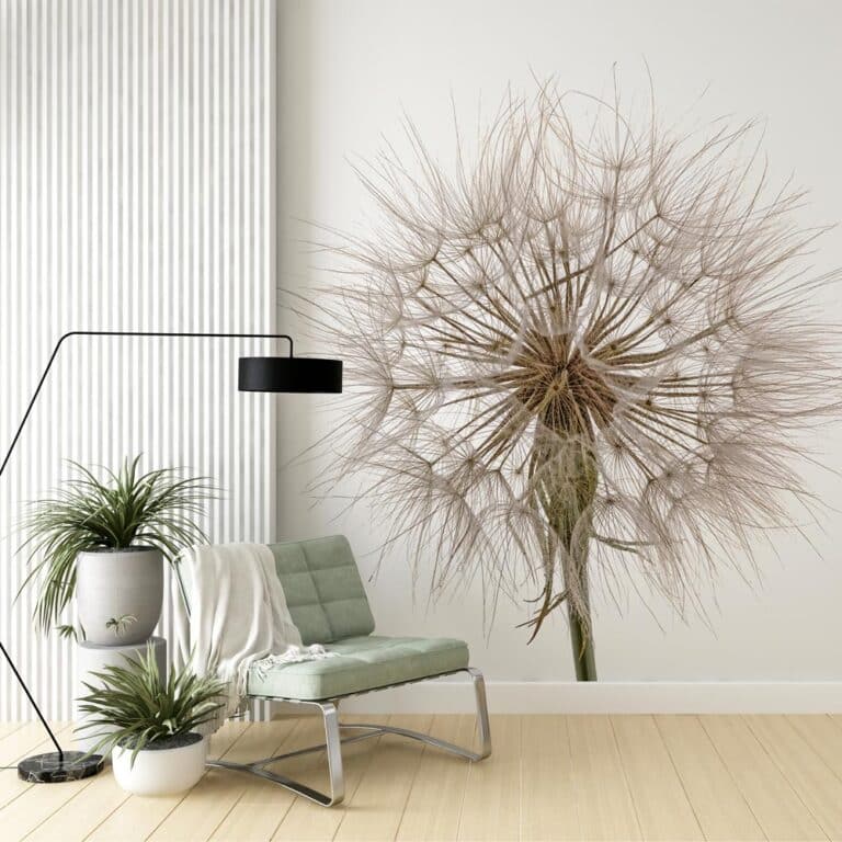 Fotobehang Dandelion op witte achtergrond