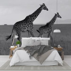 Fotobehang Giraffen duo